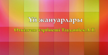 Ашық сабақ, балабақшада,балаларға, үй жануарлары, төрт түлік мал туралы