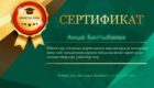 тегін сертификат