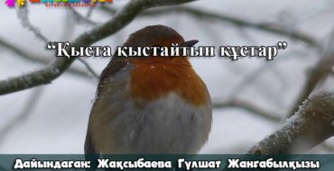 қыста қыстайтын құстардың түрлері